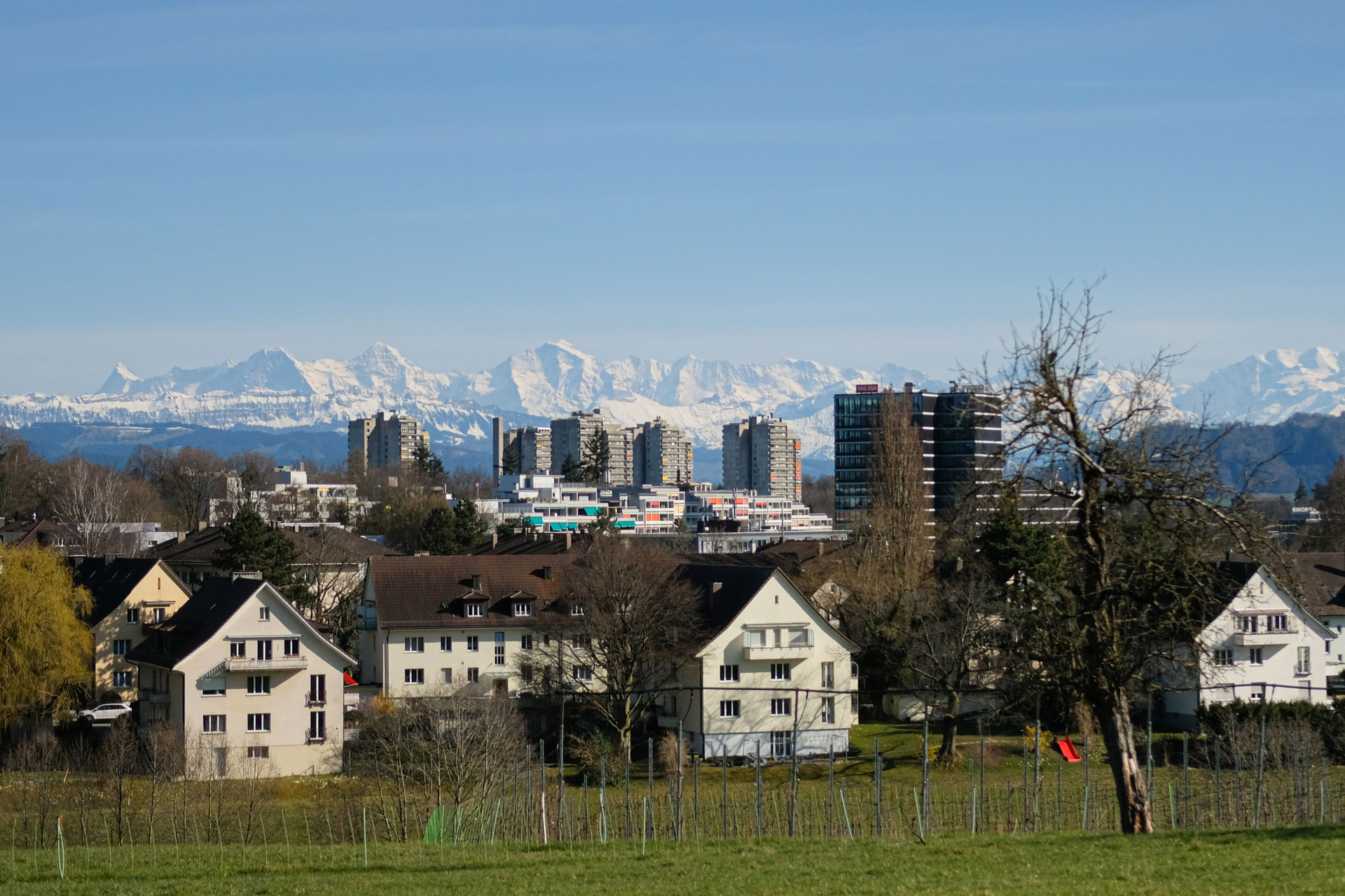 Vor dem Panorama der Alpen stehen hohe Wohnblöcke und im Vordergrund Mehrfamilienhäuser, die an eine Wiese grenzen.