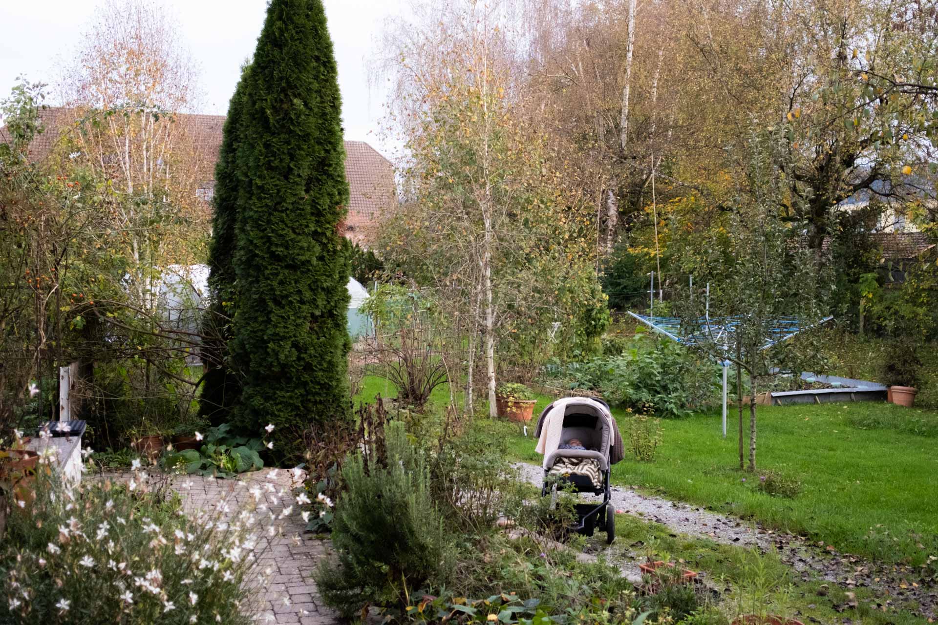 In einem grossen Garten mit verschiedenen Bäumen steht ein Kinderwagen mit einem schlafenden Baby.